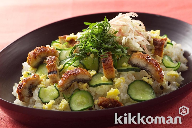 うなぎのちらし寿司🍱 ⁡ ごはんと薬味、卵焼き、うなぎ一尾で作ります♪ ⁡ ごはんに、 みじん切りした生姜の酢漬け 我が家は岩下の新生姜 をたっぷりと、白胡麻を混ぜ込み、冷まします。 ⁡ 器にごはんを盛り付けたら よく水気を絞ったきゅうりの塩もみ🥒 細切りの大葉