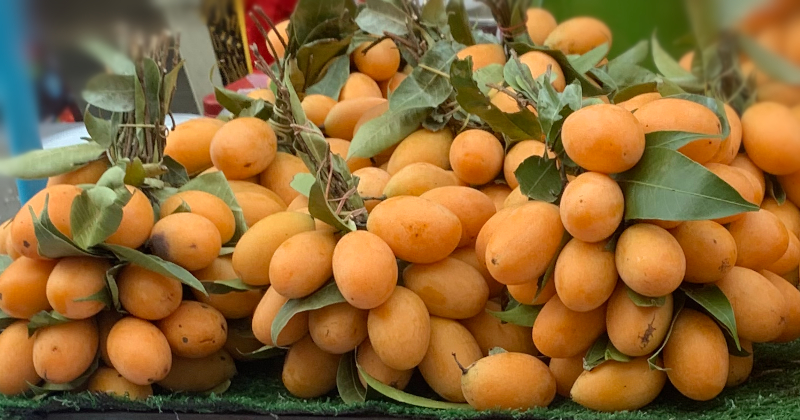 英語の果物の名前69一覧表とイラスト付き果物英単語ポスター3選 基本英単語一覧- Let's Teach English at Home,Shall We