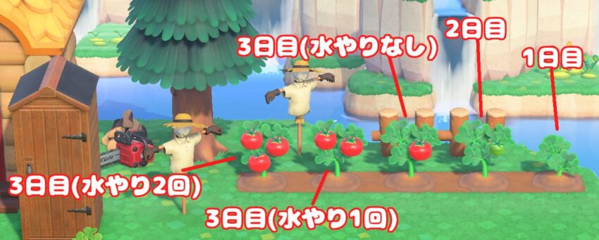 あつまれどうぶつの森攻略 「野菜」の種類と入手方法ゲームセカイ