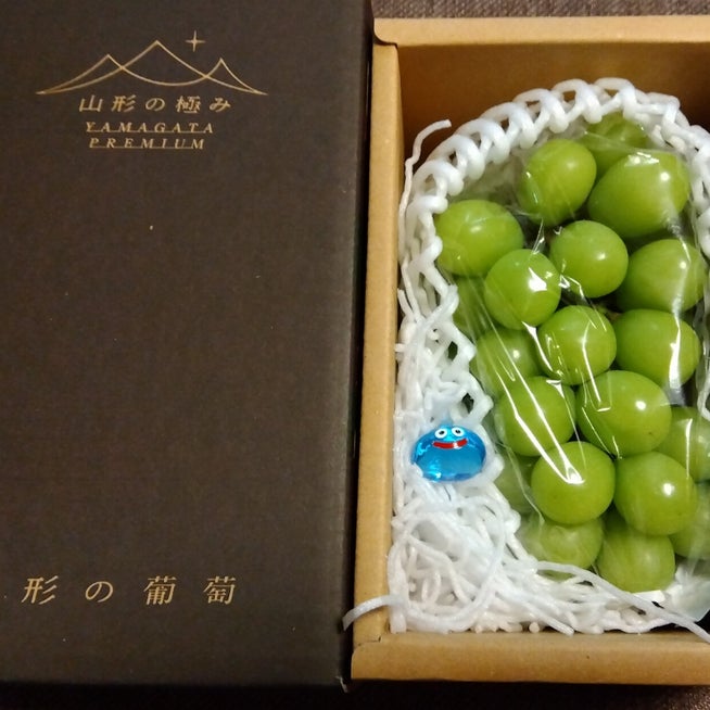 半年育てたシャインマスカット、全然甘くならない そりゃそう ちゅり