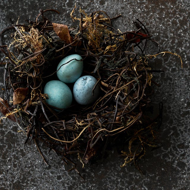 料理写真集 - 料亭のレシピ