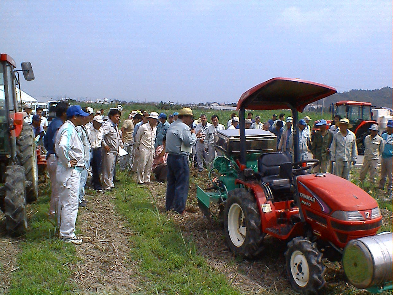 さとうきびの種類琉球黒糖株式会社