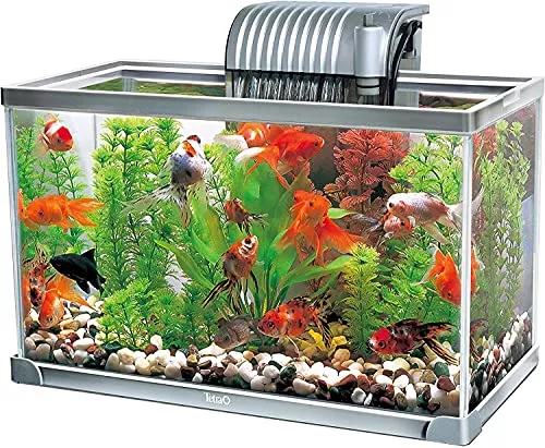 子供向け金魚を飼うのに必要なものが揃う！フィルター付きなど飼育セットのおすすめランキング野に行く