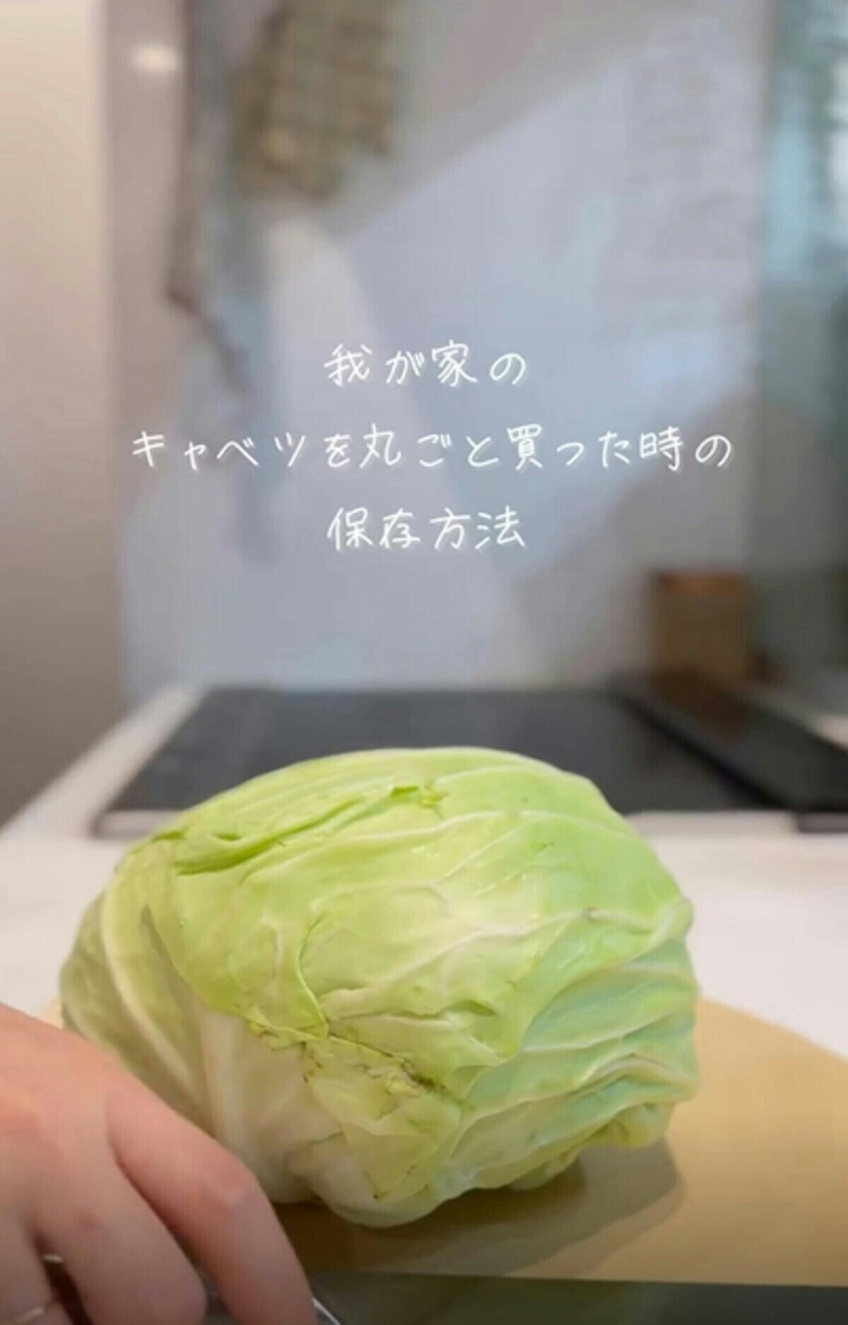 半分に切ったキャベツ、そのまま冷蔵庫はN G！意外と知らない「長持ちする保存法」とは？ ぱるとよ- エキスパート - Yahoo!ニュース