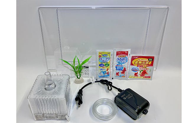 ⭐︎と も⭐︎GEXなど 金魚、メダカセット 楽天市場エントリー購入でP5倍