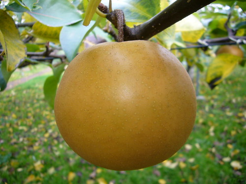 和歌山駅前つじもと内科・呼吸器内科アレルギー科