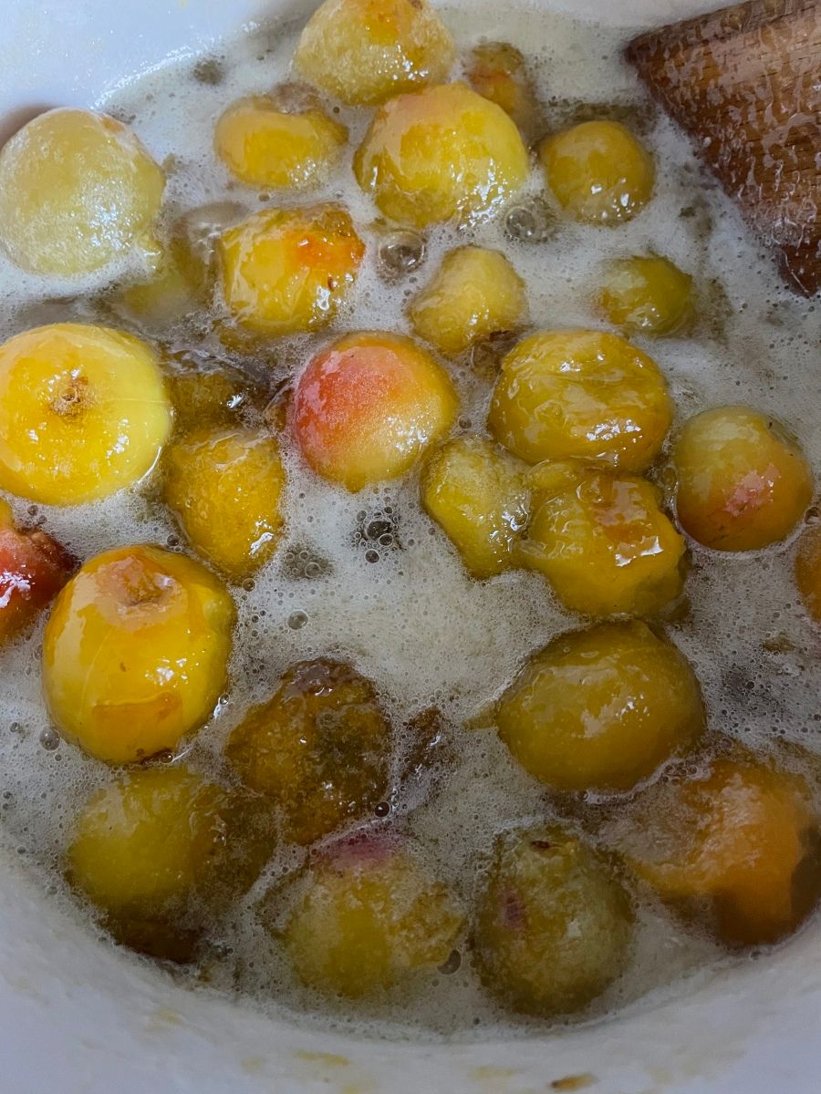 こばやしまりこ米粉を愛する料理家冷凍完熟梅で時短！甘さ控えめ！ 『万能梅ジャム』レシピNadia recipe🆔 438939毎年梅 の季節に作る梅ジャム。甘さの中に酸味があって、とても美味しく、季節を感じられます。Instagram