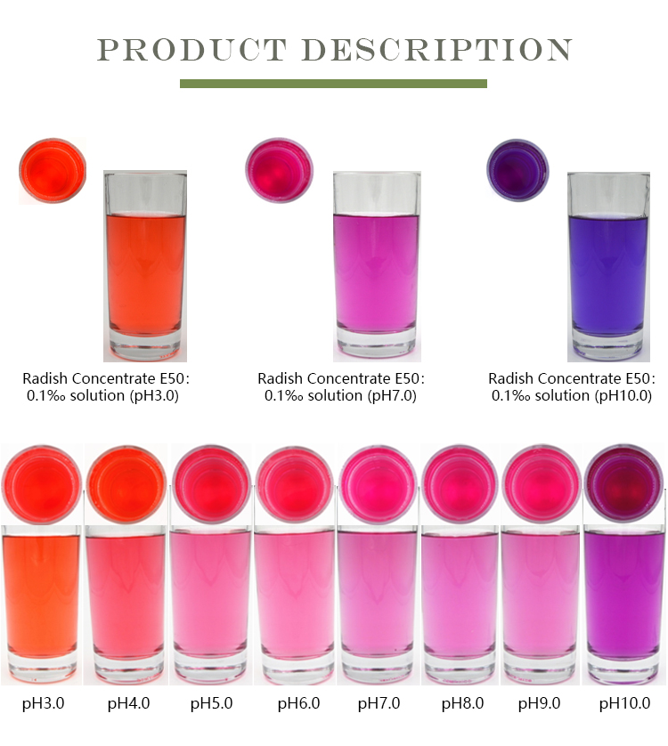 畑の逸品まるごとセット～三島大根と三島馬鈴薯の恵み～ - 富士・箱根・伊豆グルメ通販の東平屋