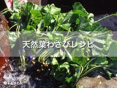 葉わさび・花わさびの食べ方と下ごしらえ