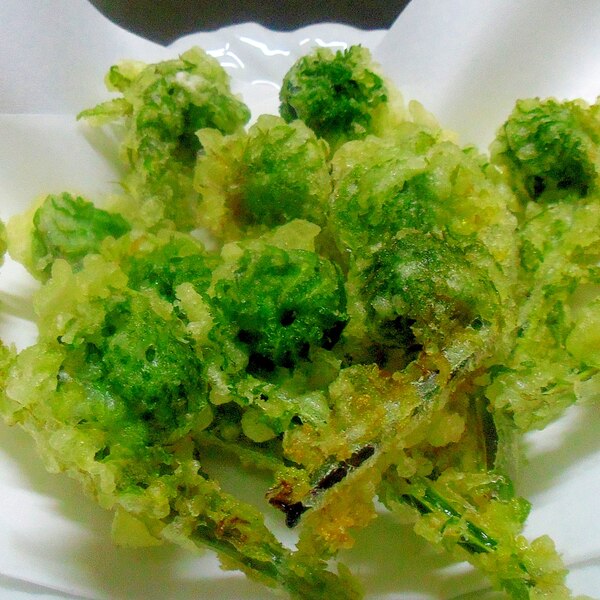 わらび」と「ぜんまい」と「こごみ」の違いって？ことくらべ