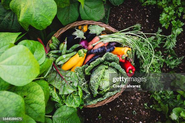 特集1 夏野菜 2 ：農林水産省