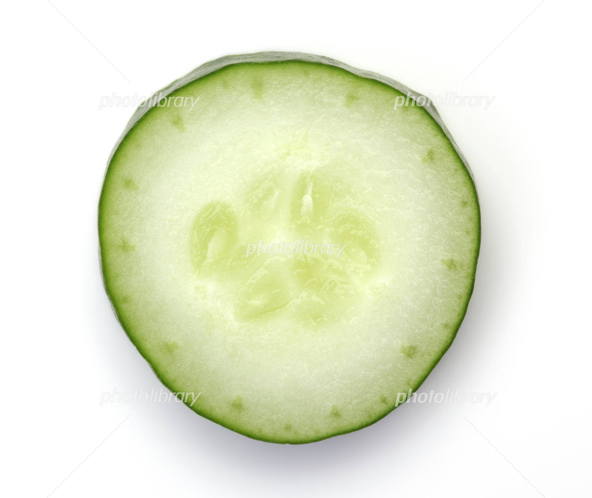 27,900点を超えるきゅうり 断面のストックフォト、写真、そしてロイヤリティフリーの画像 - iStock