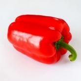 生もの日本の食べ物用語辞典