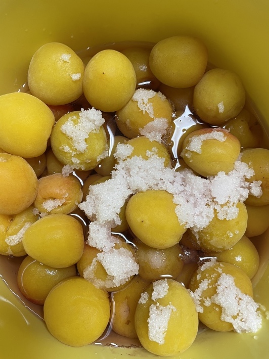 梅仕事第2弾は栗原さんの甘い梅干しpapuchi home - 楽天ブログ