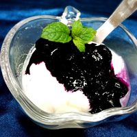 ハックルベリーのジャムとソース