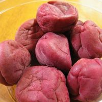 硬めの食感がクセに！ 青梅を使った梅干しの作り方中田食品株式会社