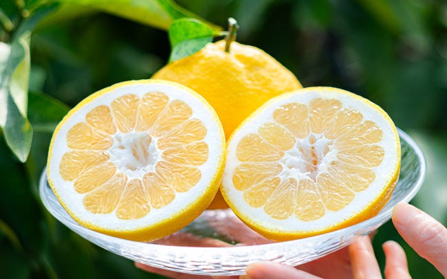 新作 ラ・フルッタ , 夏を詰め込んだようなカラフルなフルーツゼリー。,瑞々しいフルーツとつるんと爽やかなゼリーは暑い夏にぴったりのスイーツですね！,ピンクグレープフルーツ、オレンジ、ブルーベリー、ぶどう、黄桃、白桃、キウイが入っています。,フルーツの入荷によって内容が変わります ,7.20 sat から販売です！, 是非ご賞味ください♪,