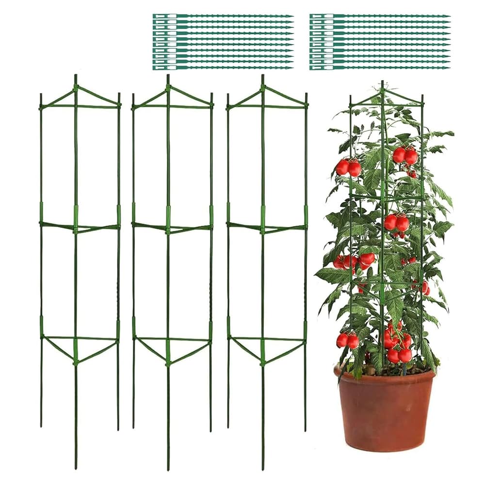 庭 ミニトマトのおしゃれなインテリアコーディネート・レイアウトの実例RoomClip ルームクリップ