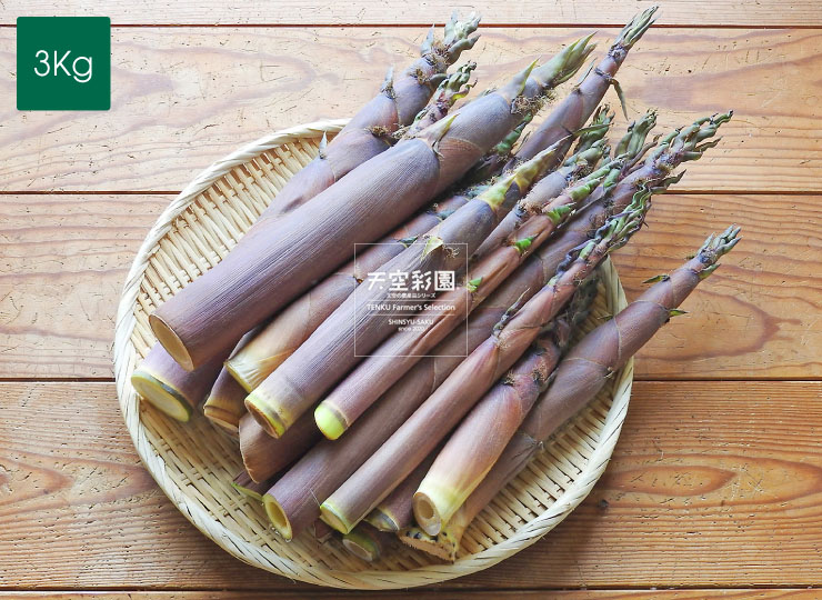 ハチク」の出荷が開始！「ハチク」ってどんなタケノコ？徳島の産直市 喜多野安心市 の２代目が伝えたい！やさいの話とか、農業の話とか