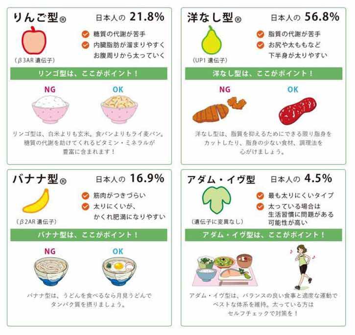 りんごダイエットの効果と正しいやり方・継続のコツ・注意点株式会社なにわサプリ