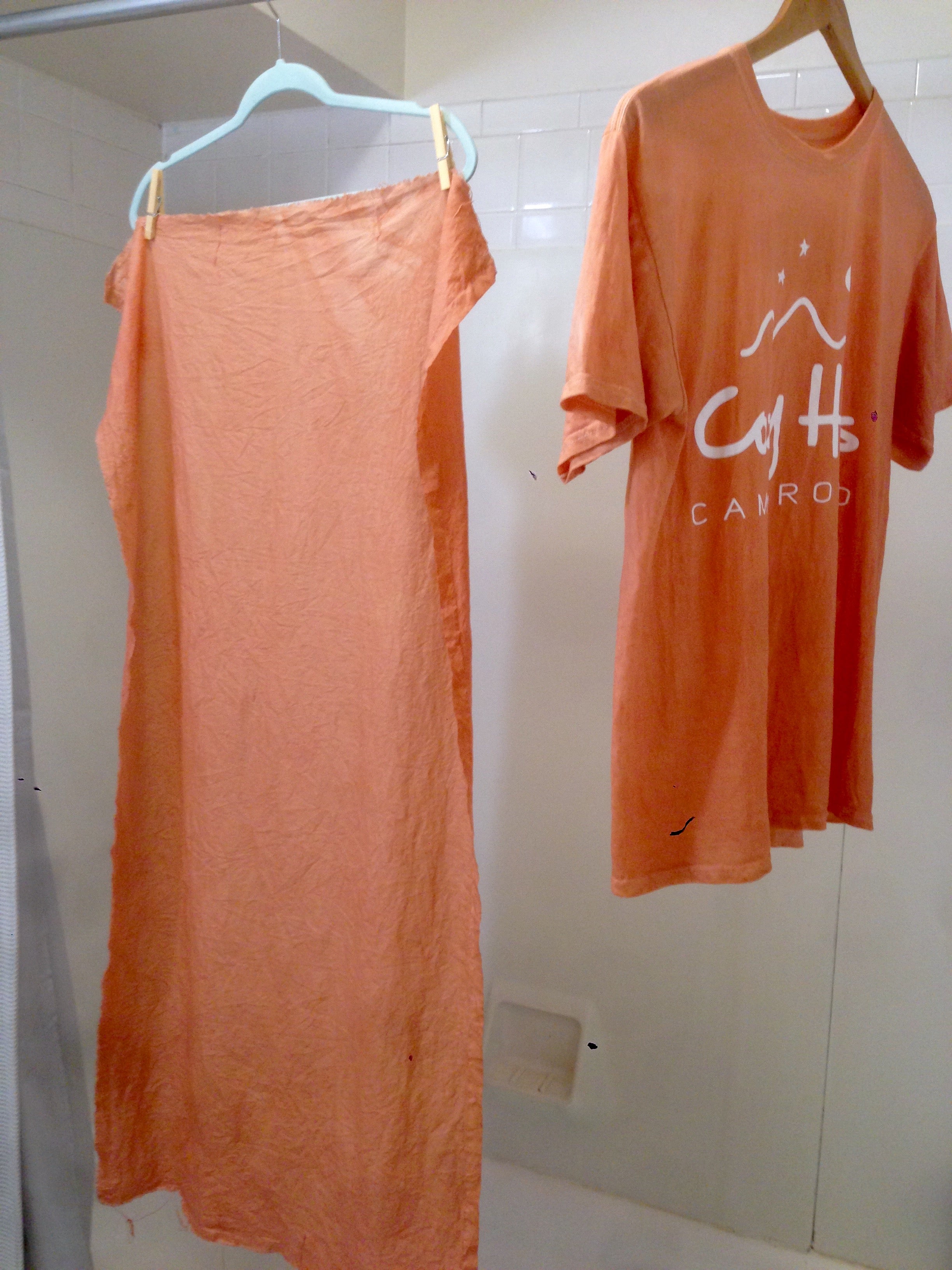 染め方解説アボカドで毛糸をピンクに染める方法ep.137