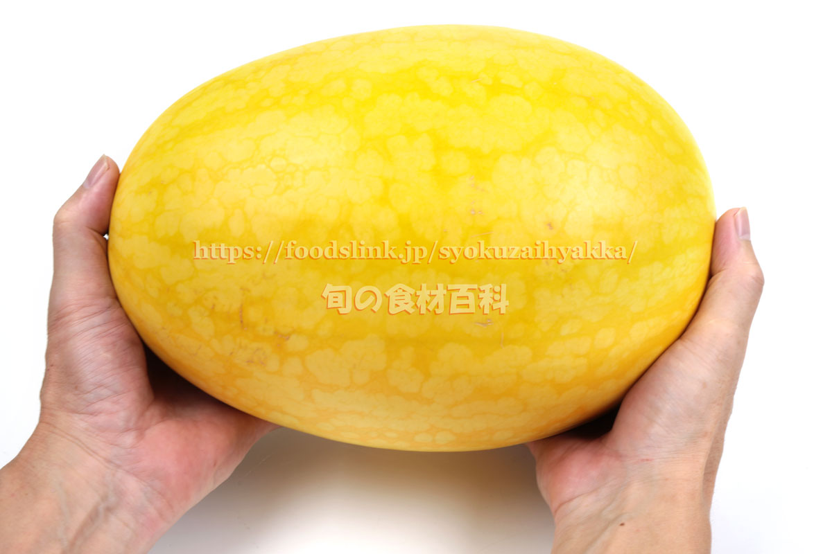 レヂトン 金の卵 Z 1枚 105 1Pの通販ディスクグラインダーアクセサリー電動工具消耗品ホームセンターナフコ 公式通販