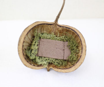 ブッタナッツアレンジTanoMake タノメイク欲しいものが頼めるオーダーメイド特化型オンラインマーケット