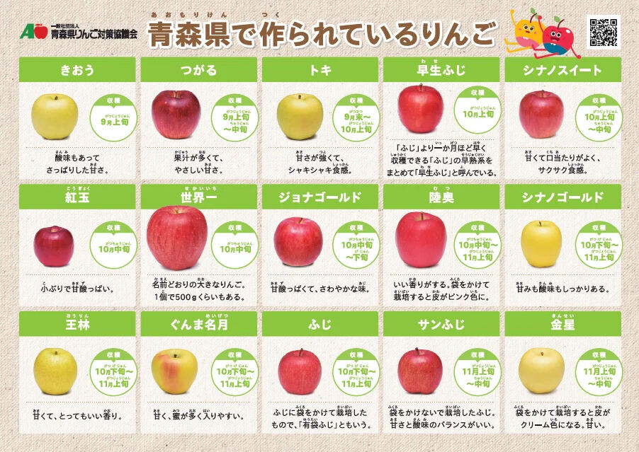 王林りんご 林檎 リンゴ品種の特徴 食べ方 選び方