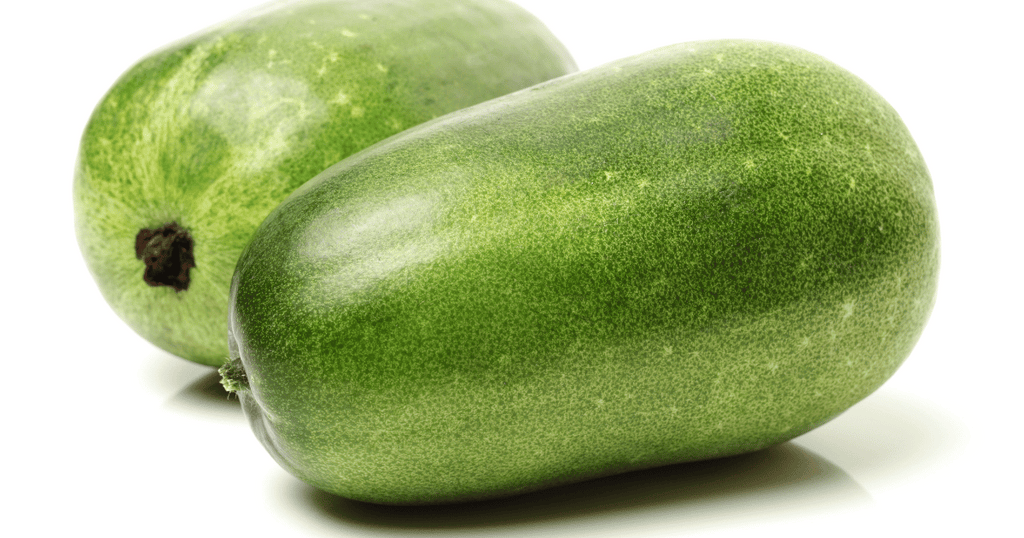 トウガンの育て方 カインズ野菜図鑑となりのカインズさん