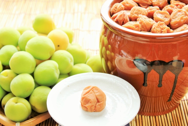 赤紫蘇 赤しそ の塩漬けの保存方法しそ漬けの作り方・梅干し漬けた後のしそ保存も紹介 - たいようブログ