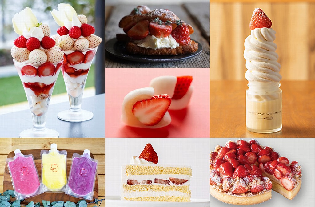 幸せのパンケーキニュース北海道文化放送「みんテレ」で幸せのパンケーキ札幌店が紹介されました