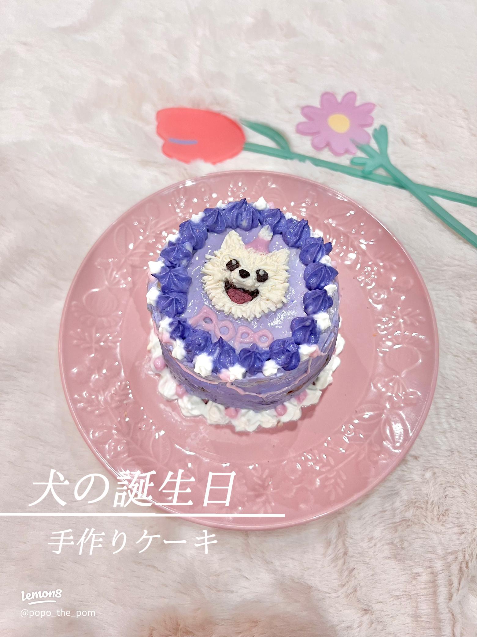 安心安全 簡単な犬用手作りケーキレシピ5選お誕生日や特別な日に犬と暮らすぷにぷにpaw ポー