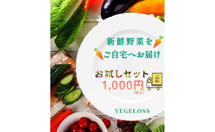 TANI JULYポートフォリオ