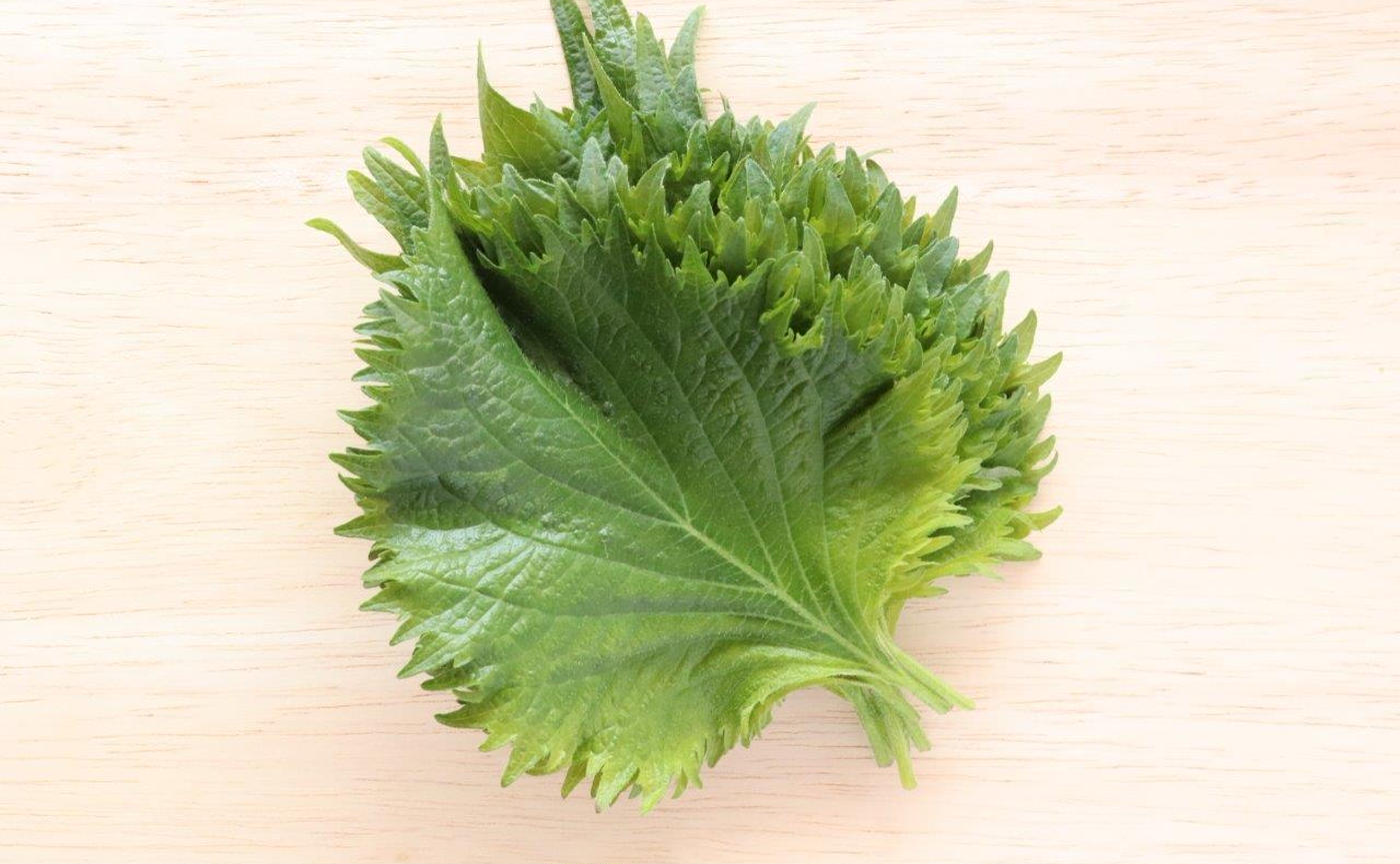 大葉は傷む前に「小分け冷凍」が便利！「冷蔵よりいい」「もう捨てずに済む」の声 - macaroni