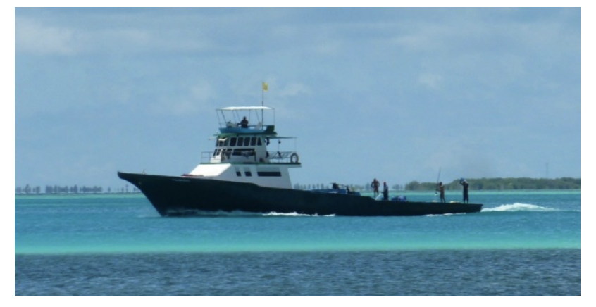 鰹節、モルディブフィッシュ、ツナ、カツオ〜カツオのカレー竜田揚げ、シンハラ語での魚の名前HARAJUKUから見た日本。時々シンハラ。by旅する音楽職人