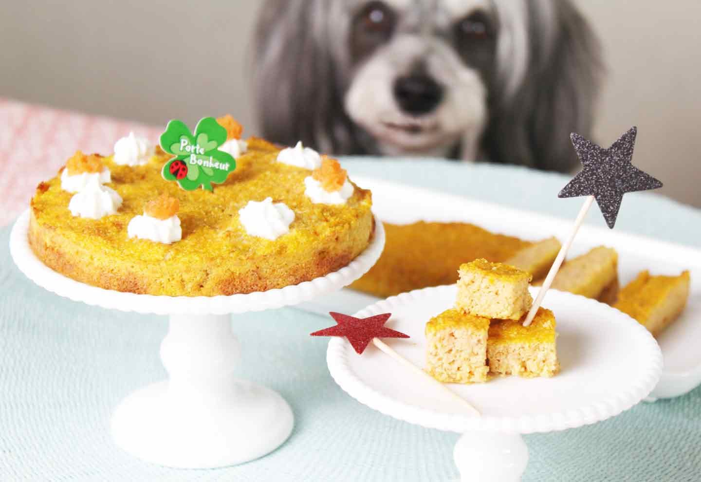 愛犬の誕生日に♪手作りわんこお野菜ケーキの作り方わんこごはんアカデミー〜食卓から家族と愛犬の元気をサポート