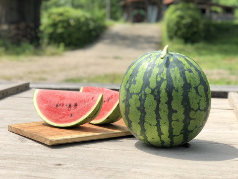 大玉スイカ 半玉 全部食べたら何キロカロリーChatGPT実務セミナ講師、かとちゃんの静岡ぐらし