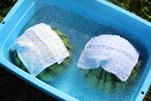 常温・冷蔵・冷凍 スイカの正しい保存方法旬のよみもの伊達水蜜園