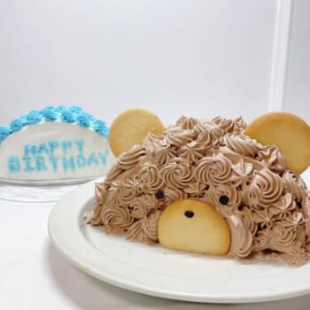 ハーフケーキの作り方 韓国で話題のデコレーションケーキレシピお菓子・パン材料・ラッピングの通販 cotta＊コッタ