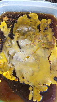 白く固まったハチミツを簡単に復活！ まさかの裏技に「想像以上」「もう捨てない」 – grapeグレイプ