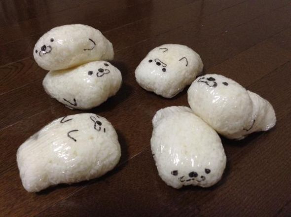 今月もいっぱいアザラシ描けました🦭˙ ꒳ ˙もちたぷあざらし🏝🦭 さんのマンガツイコミ 仮