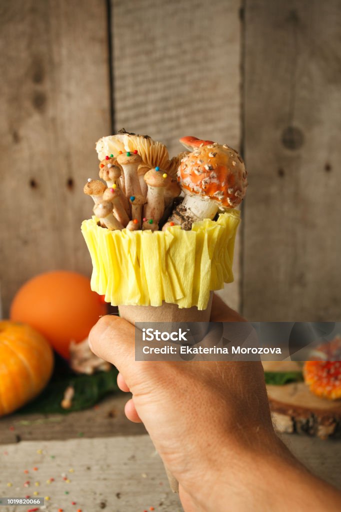 大阪のお土産はこれ！定番お菓子やおしゃれスイーツ21選JR東海ツアーズ 新幹線旅行の予約 EX旅パック