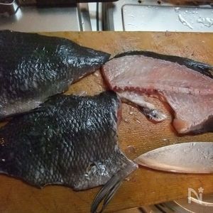釣り飯 マダイ イノシン酸とグルタミン酸の融合！寝かせる程に美味い、昆布締め刺身。しぜんらぼフィッシング