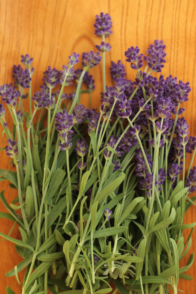 お菓子によく使うハーブ