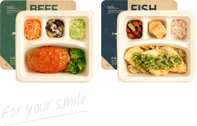 たんぱく・塩分調整食高齢者専門宅配弁当 宅配クック１２３