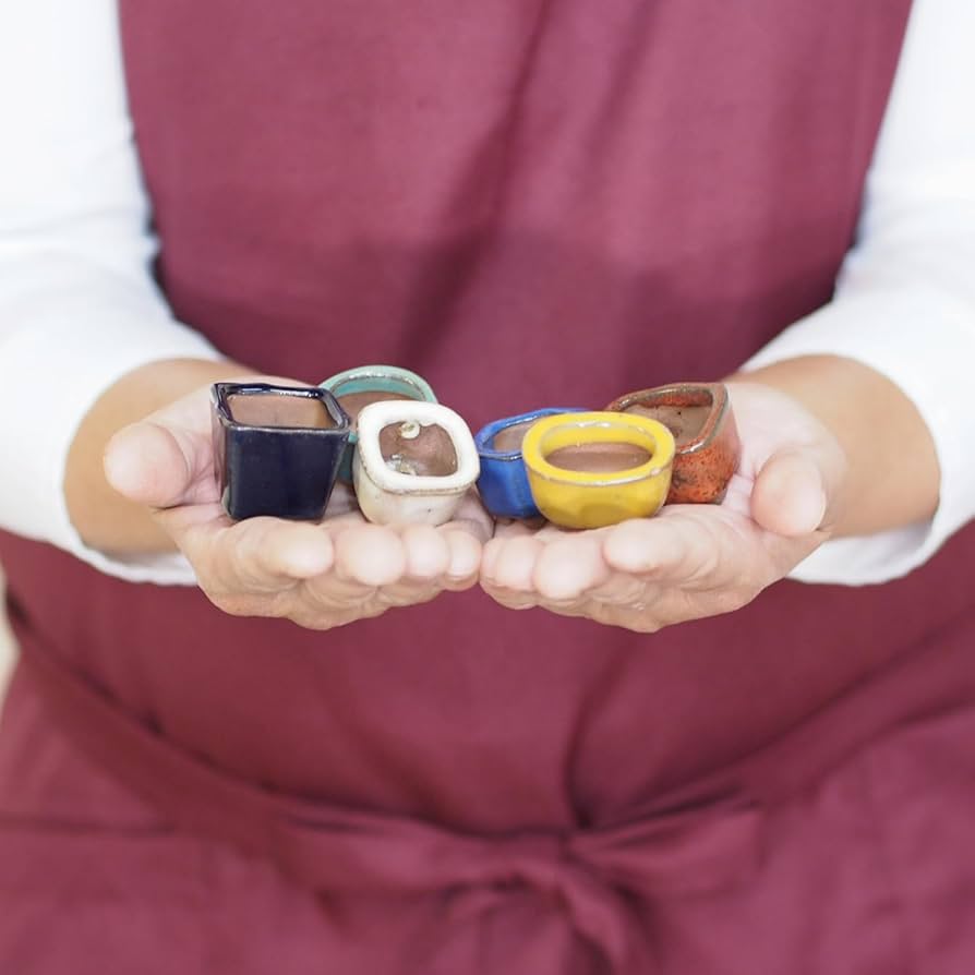 多肉植物とまめ盆栽の専門店 1000's BASE