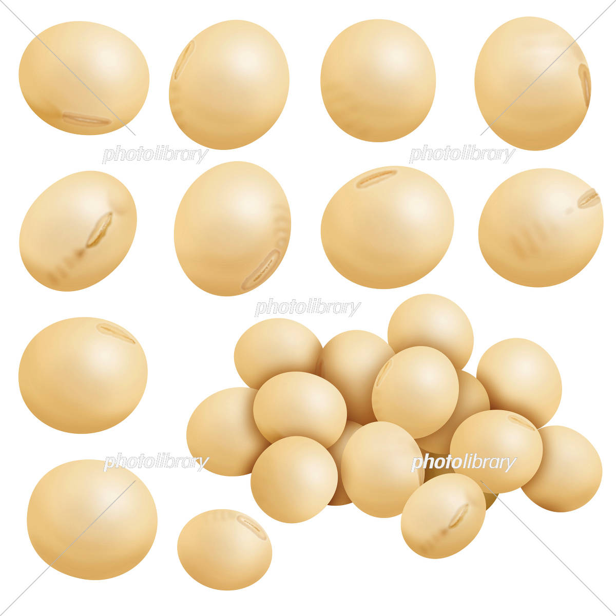 大豆」の写真素材888,315件の無料イラスト画像Adobe Stock