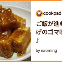 つくれぽ1000厚揚げレシピ人気1位～40位を煮物・あんかけ・簡単トースター料理など殿堂入りレシピからひき肉・豚肉・小松菜・キャベツを使うおかずまで紹介クーカイ-Cookai