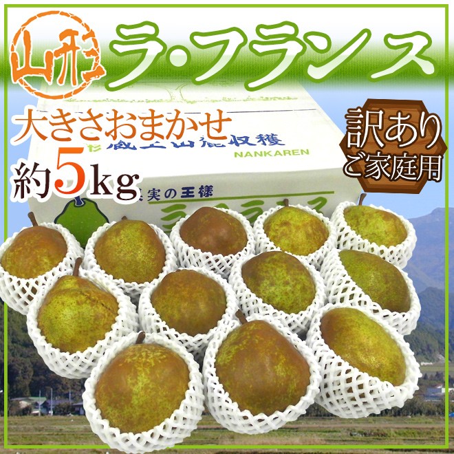 山形産 ”ラフランス” 訳あり 約5kg 大きさおまかせ 産地箱 洋梨 ラ・フランス 予約 10月下旬以降送料無料 : くらし快援隊 - 通販 -Yahoo!ショッピング