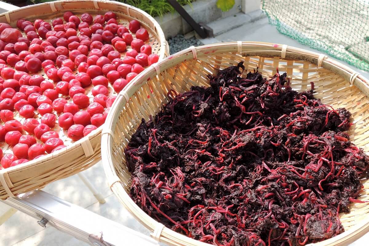 梅干し用、シソの葉の準備